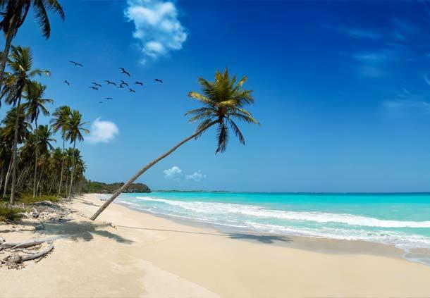 Mangro Hotel Diani Beach Kültér fotó